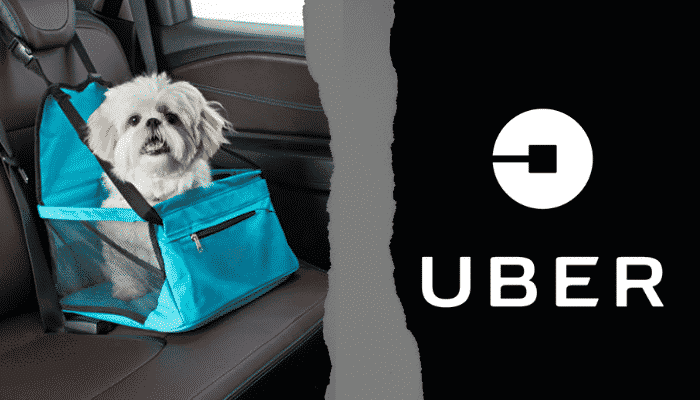 Você está visualizando atualmente Uber aceita cachorros? Saiba mais sobre transporte de PET’s!