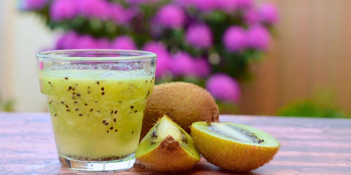 Você está visualizando atualmente Receita de suco de kiwi saboroso e refrescante para toda família aproveitar