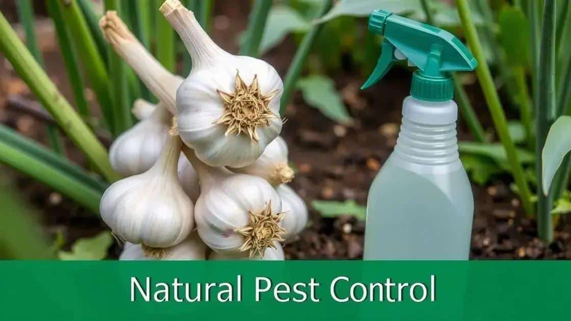 a formula exata do inseticida de alho que os agricultores organicos usam