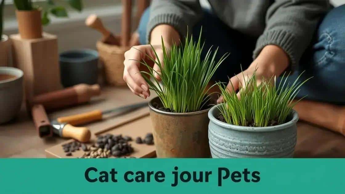 Como plantar grama para gatos em casa