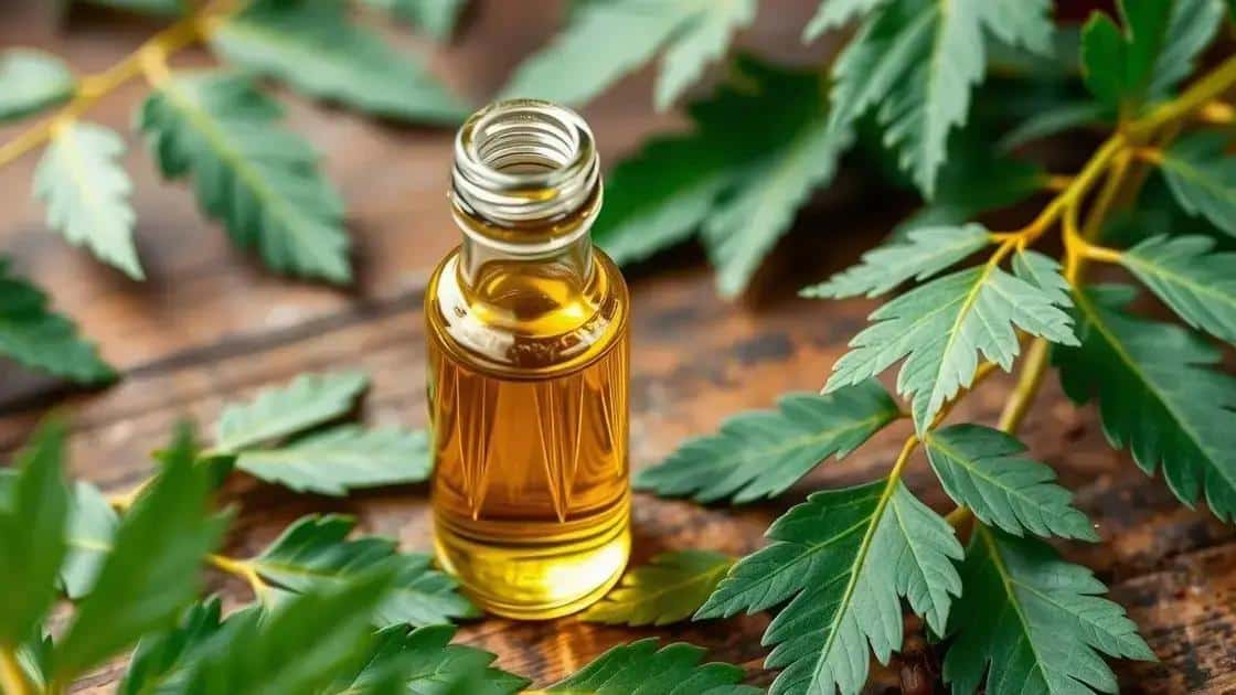 O que é o óleo de neem?