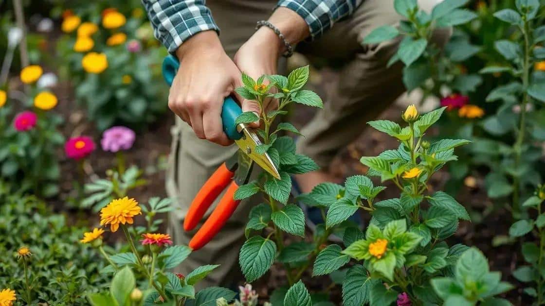 Por que podar plantas é importante