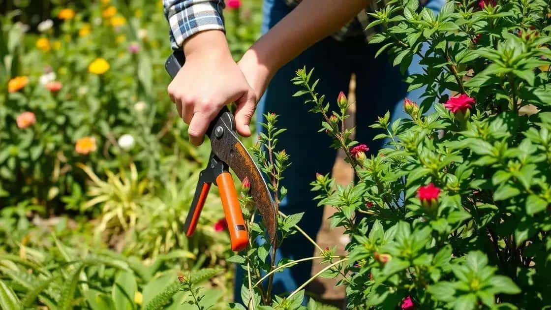 Leia mais sobre o artigo Dicas de poda sem prejudicar suas plantas