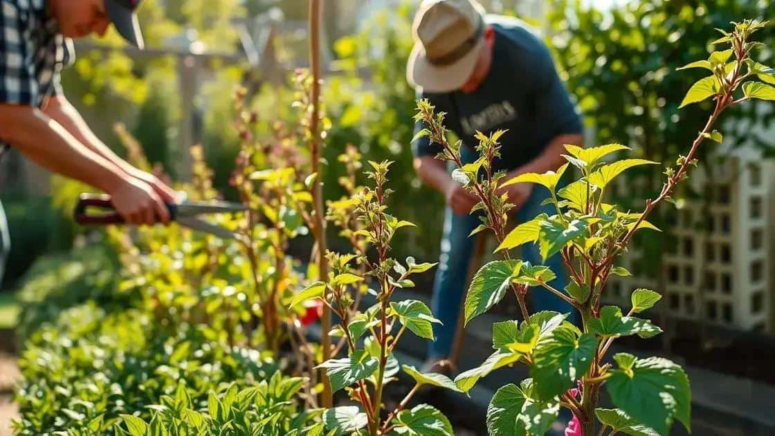 dicas de poda para plantas expostas ao sol