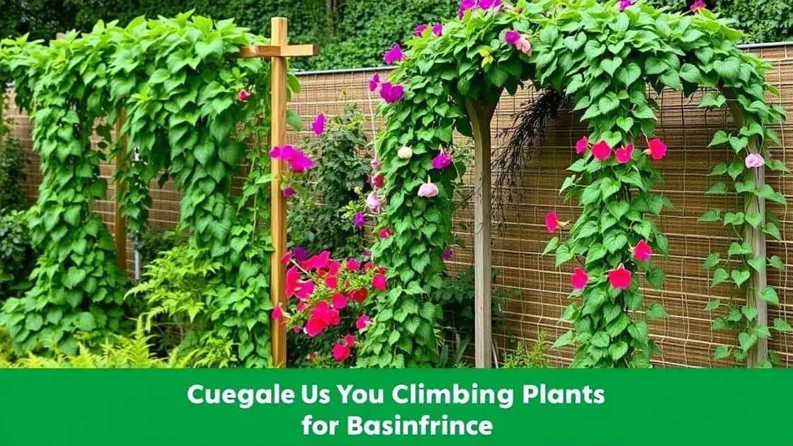 por que investir em estruturas para plantas trepadeiras