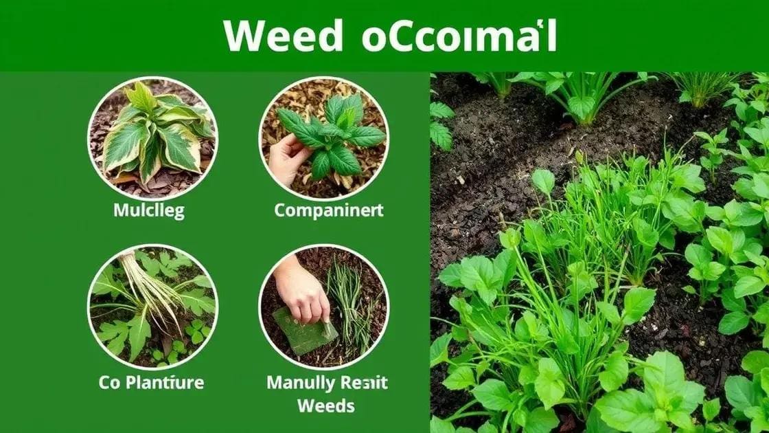 Métodos naturais para controle de ervas daninhas