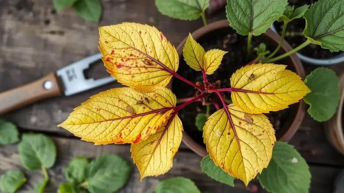 Sinais de que sua planta está doente